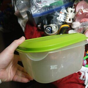 Rubbermaid Green and Clear Food Storage Container